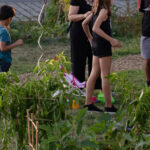 Maraichage communautaire : réenraciner l’alimentation dans son lieu de vie