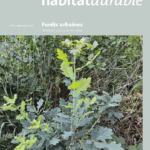HabitatDurable 68 | Septembre 2022